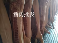 Осоо ПромАгро Оптовая продажа мясо свинины в пол тушахСубпродукты — Foto 4