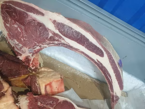 Жылкы эти. Тойлорго жана Куран окутууларга заказ алабыз. Устукандар