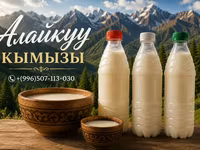 Кымыз, саамал, Оптом, Бесплатная доставка, Платная доставка — фото 1