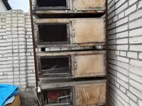 Перепела — фото 2