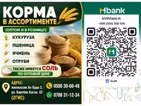 Корма в ассортименте (оптом и в розницу) Ассортимент: - Кукуруза - — фото 1