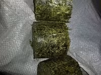 Vindem furaj granulat pentru chinchilla si nisip tratat. — Foto 2